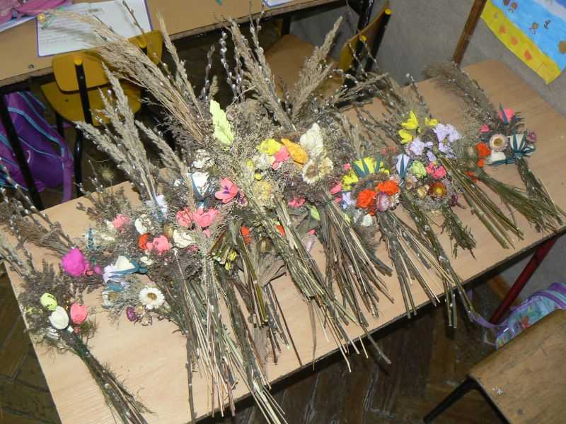 copy2_of_image006.jpg