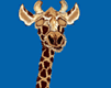kroachgirhellosc2.gif