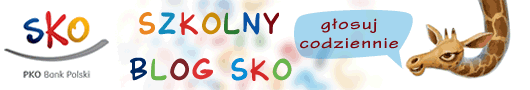 copy_of_sko_nowe_anim2_banner.gif
