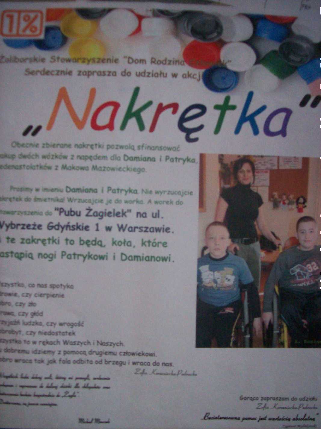dypl2.jpg
