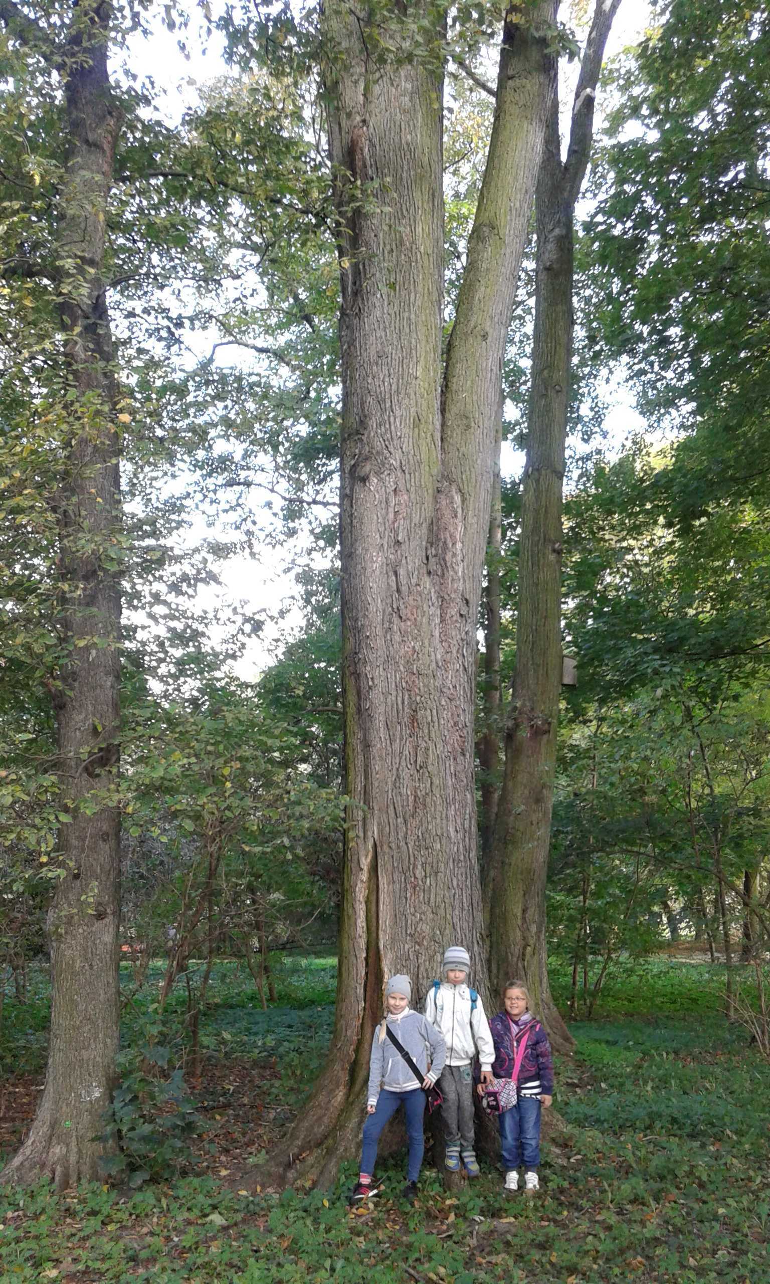 20141001_105444.jpg