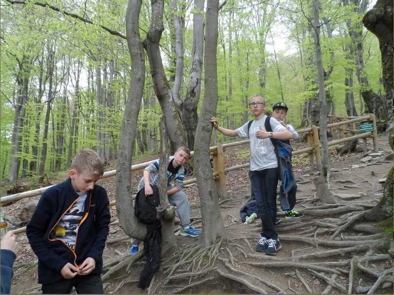 Bieszczady8.jpg