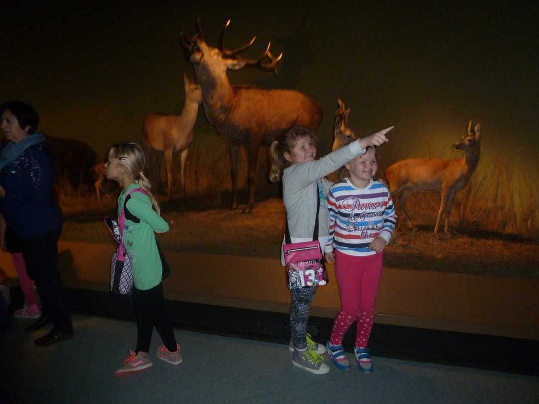 P1090025.JPG