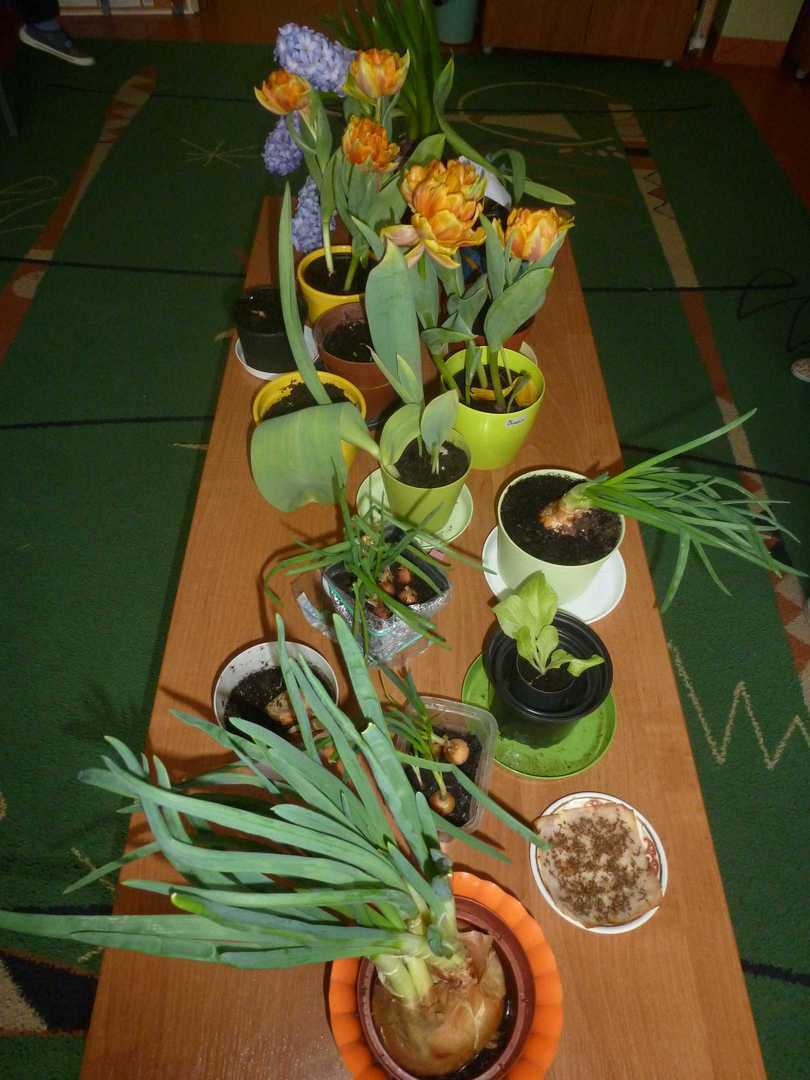 P1110534.JPG