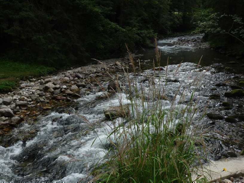 copy_of_P1050017.JPG