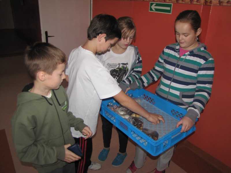 IMG_9299.JPG