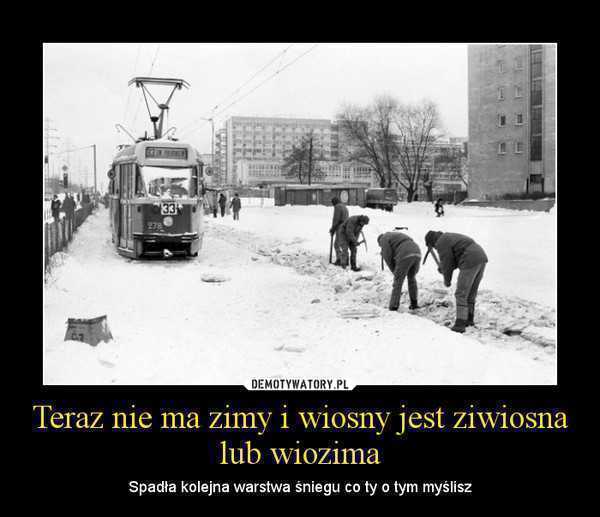 1363946127_ax6jrd_600.jpg