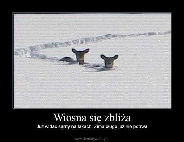 4762001memnatematwiosny.jpg