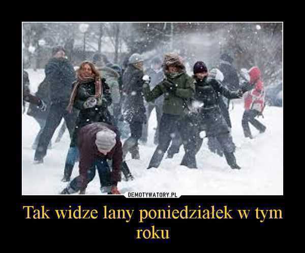 ru0r6400n817889YXKY_lany_poniedzialek_2013.jpg