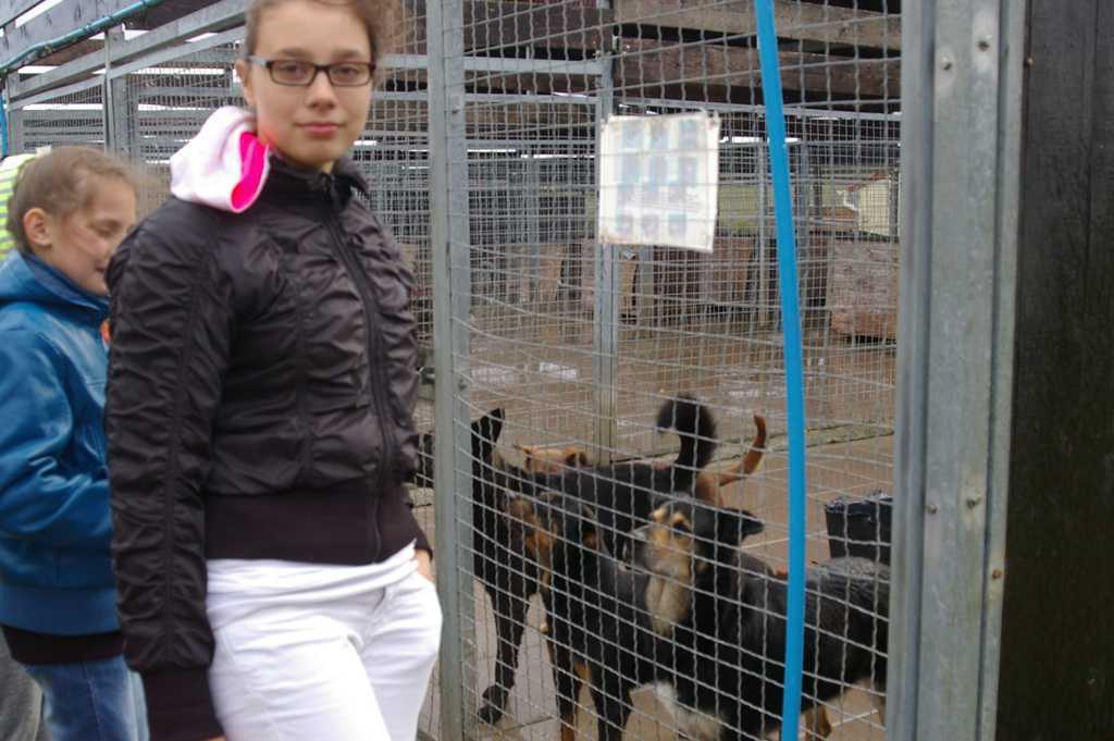 sch20136.JPG