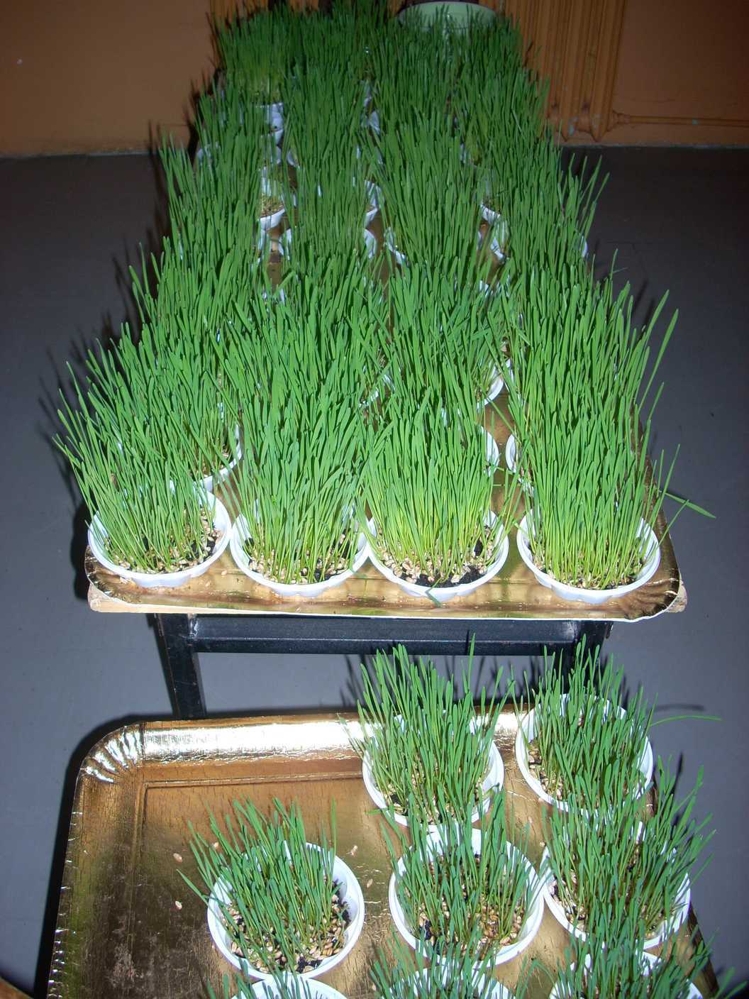 DSCN0238.JPG