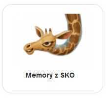 memory.jpg