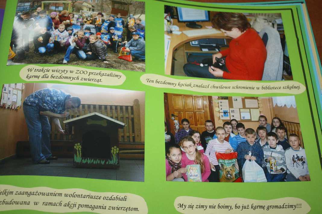 copy_of_IMG_6313.jpg