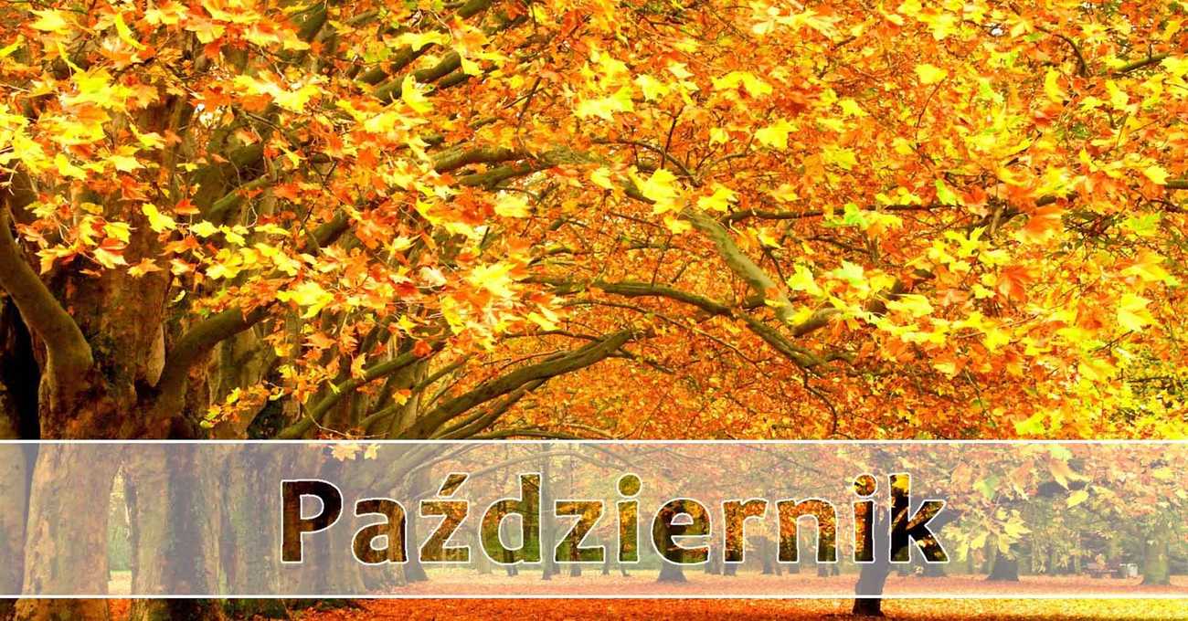 PAŹDZIERNIK ... - Szkolne Blogi