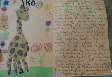 DSCN6129.jpg
