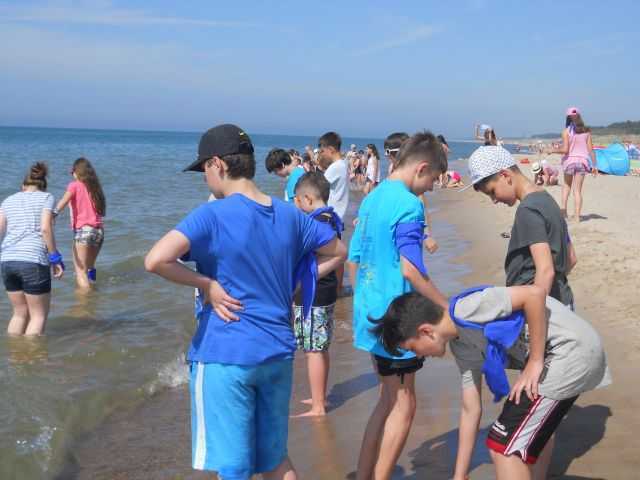 1 ZIEL SZKOL