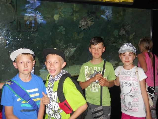 5 ZIEL SZKOL