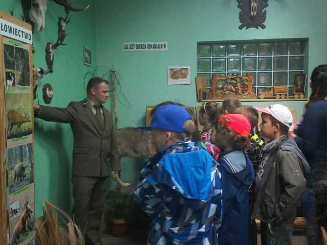 eduk