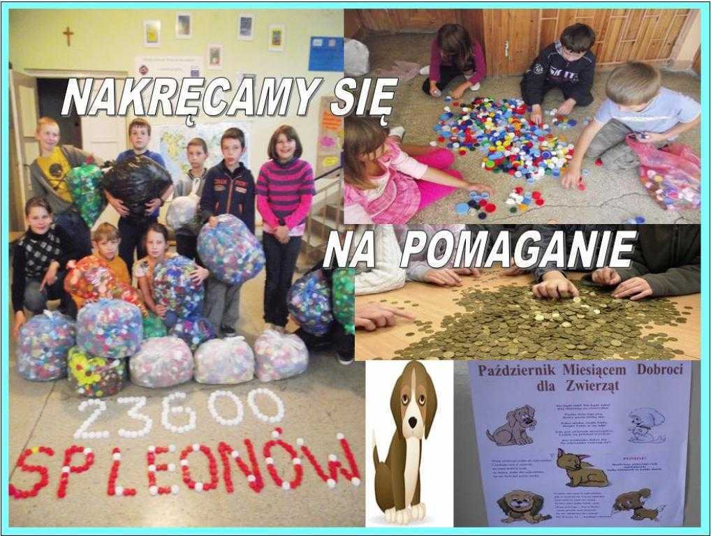 ZAKRCENI.JPG