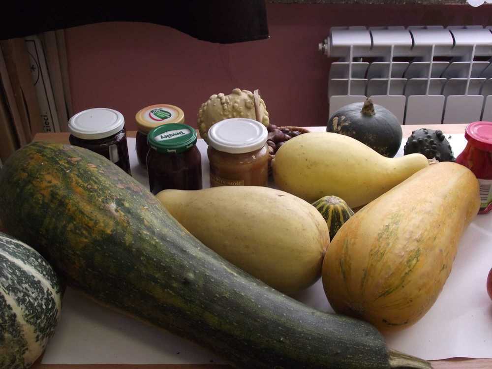 zdjcia20102011050.jpg