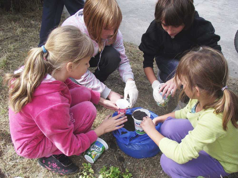 copy_of_zdjcia20102011801.jpg