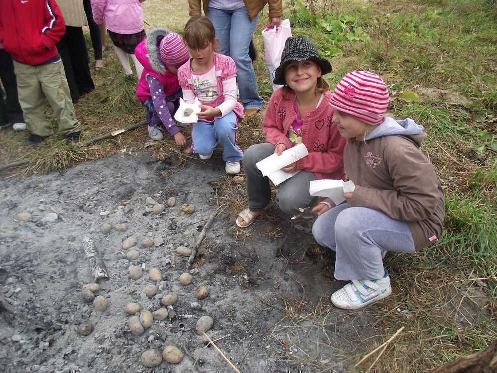 zdjcia20102011838.jpg