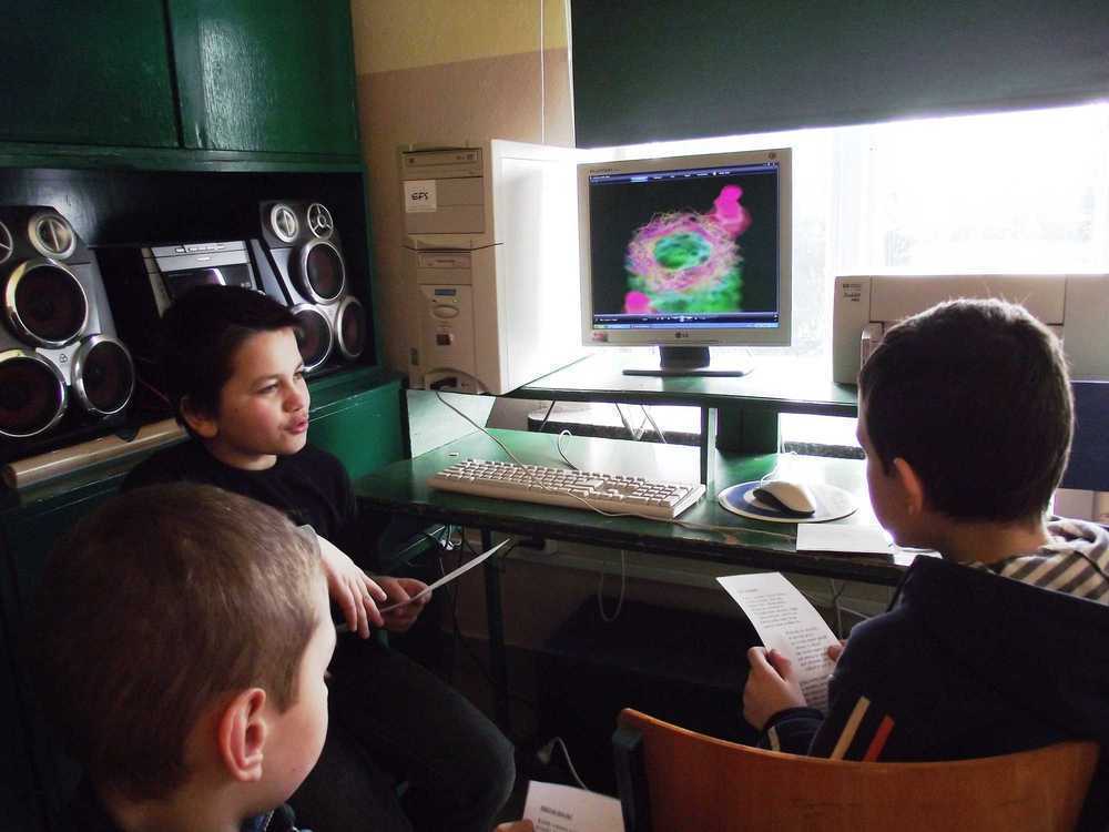 zdjcia20102011luty100.jpg
