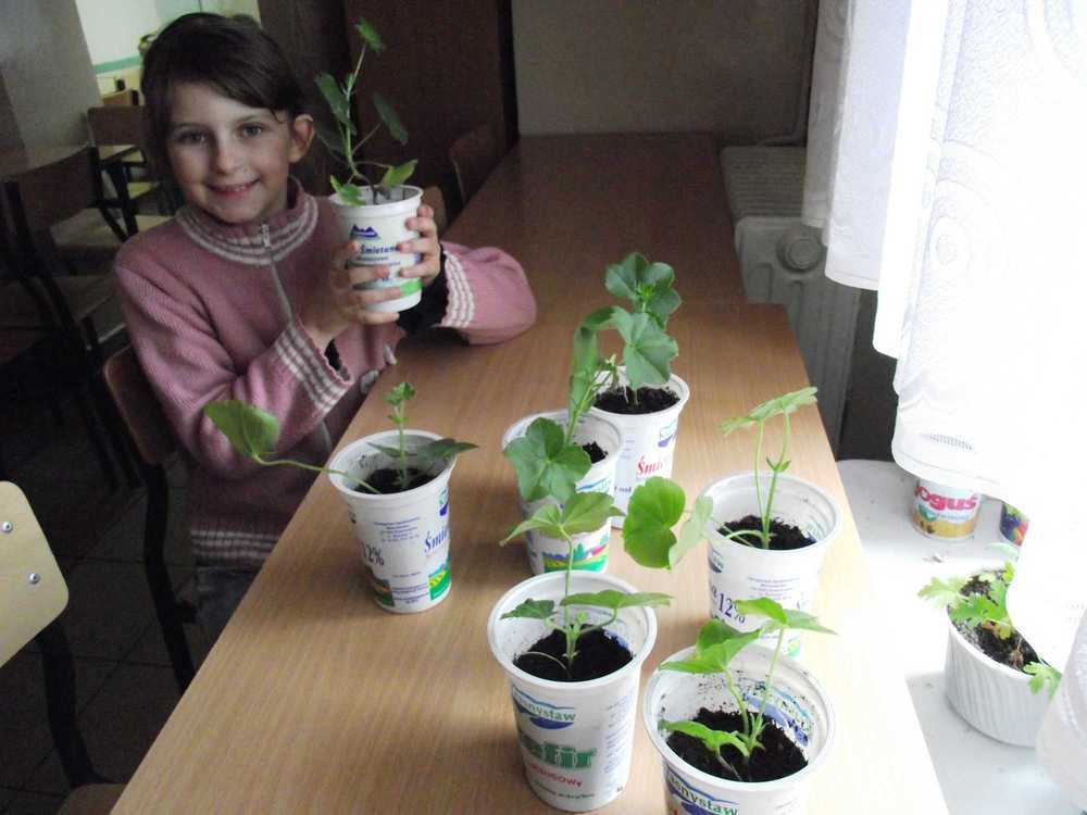 zdjcia20102011marzec212.jpg