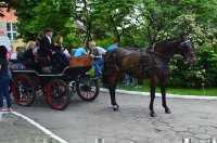 img041.jpg
