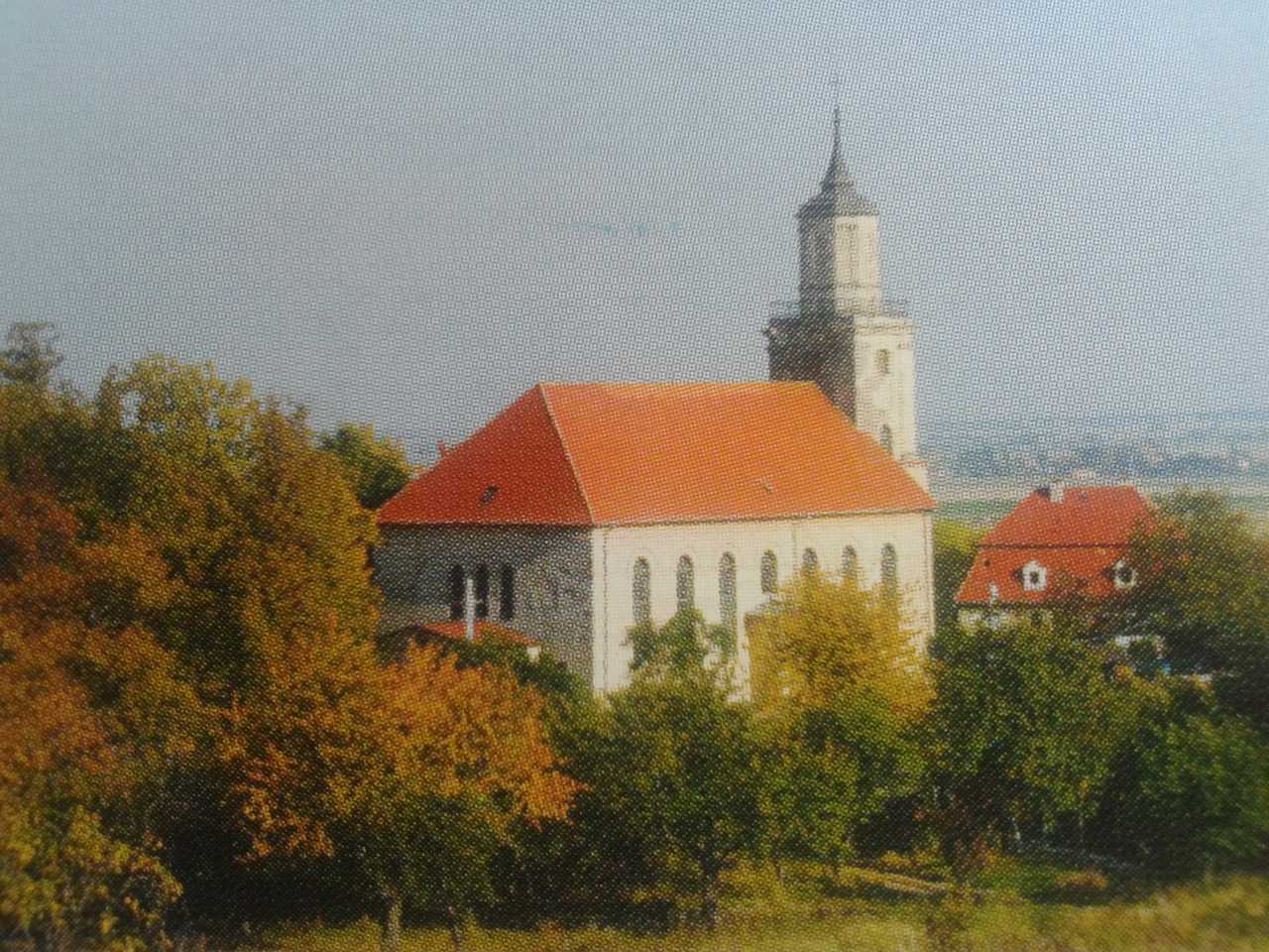 Zdjcie0508.jpg