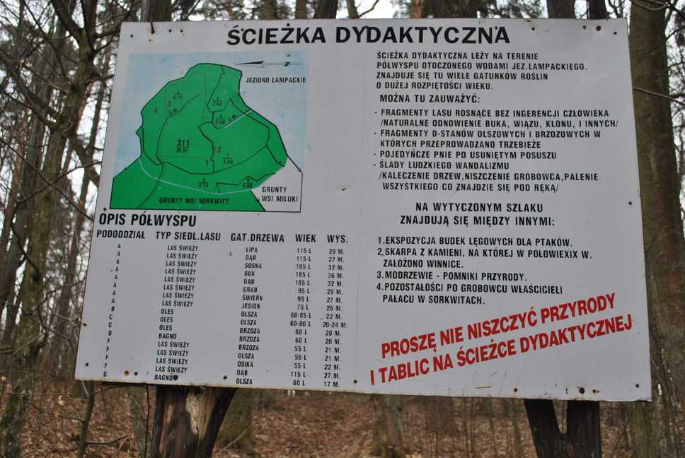 OPISCIEKIDYDAKT.JPG