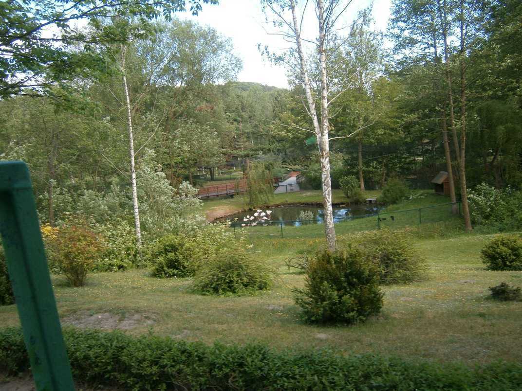 P6021189.JPG