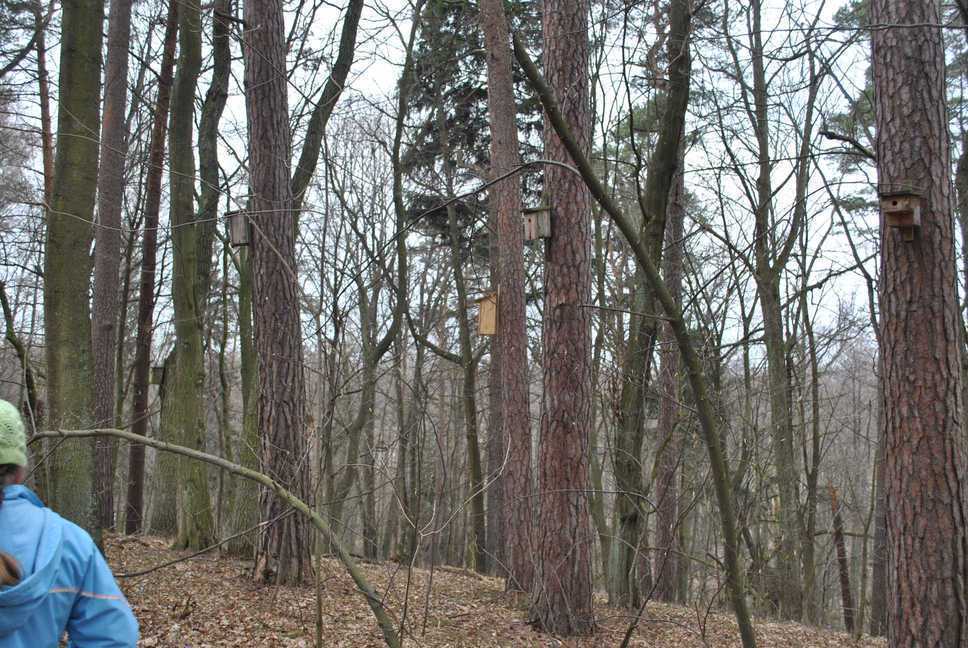 PTASIEOSIEDLE.JPG