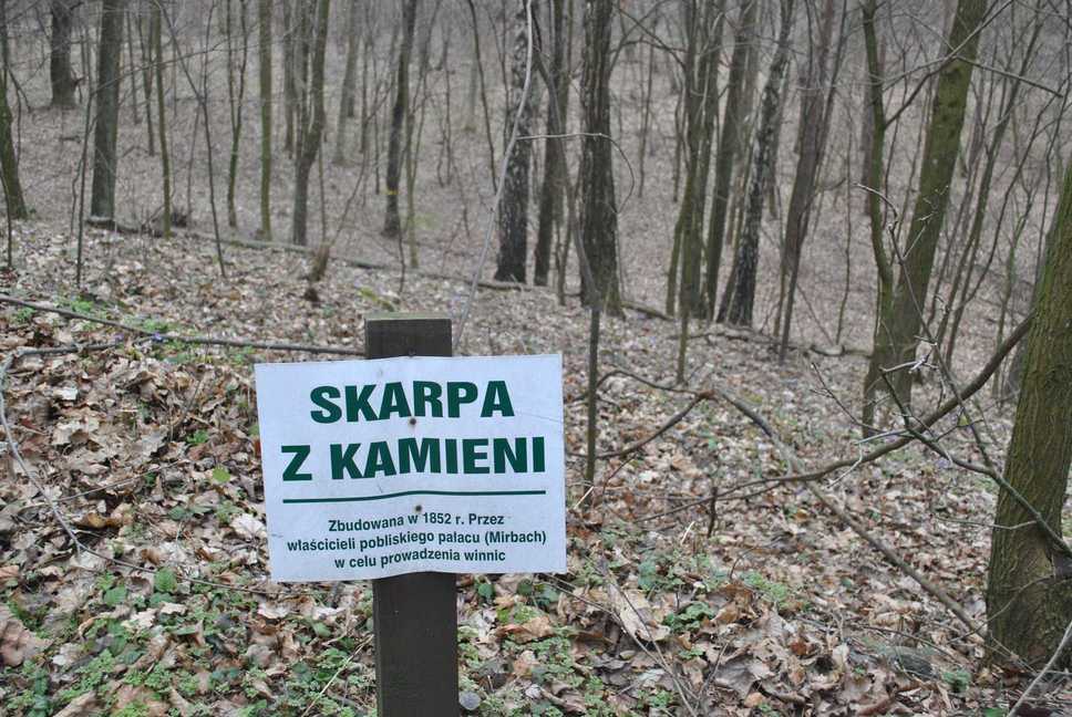 SKARPAZKAMIENI1.JPG