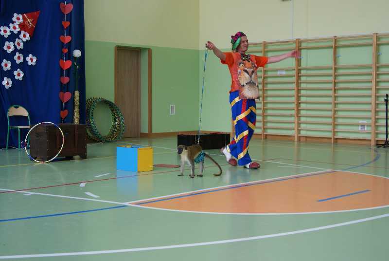 dsc08937.jpg