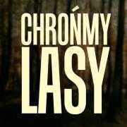 lasy.jpg
