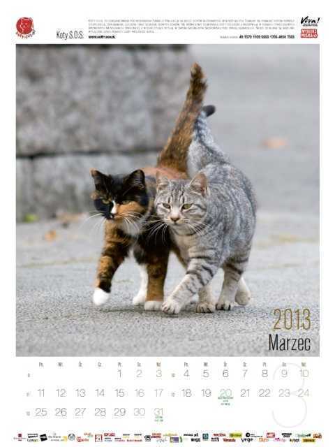 kalendarz2013marzec.jpg