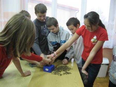 goragrosza2011f.jpg