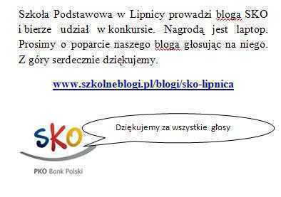 copy_of_promocjabloga.JPG