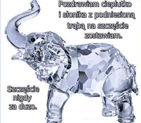copy_of_slonik.jpg