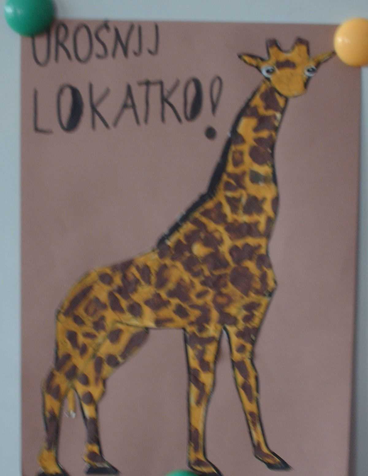 zyrafa2.JPG