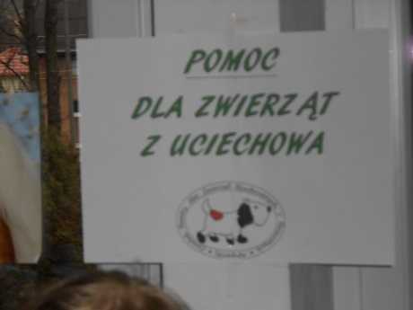 YCZLOWOSC015.JPG