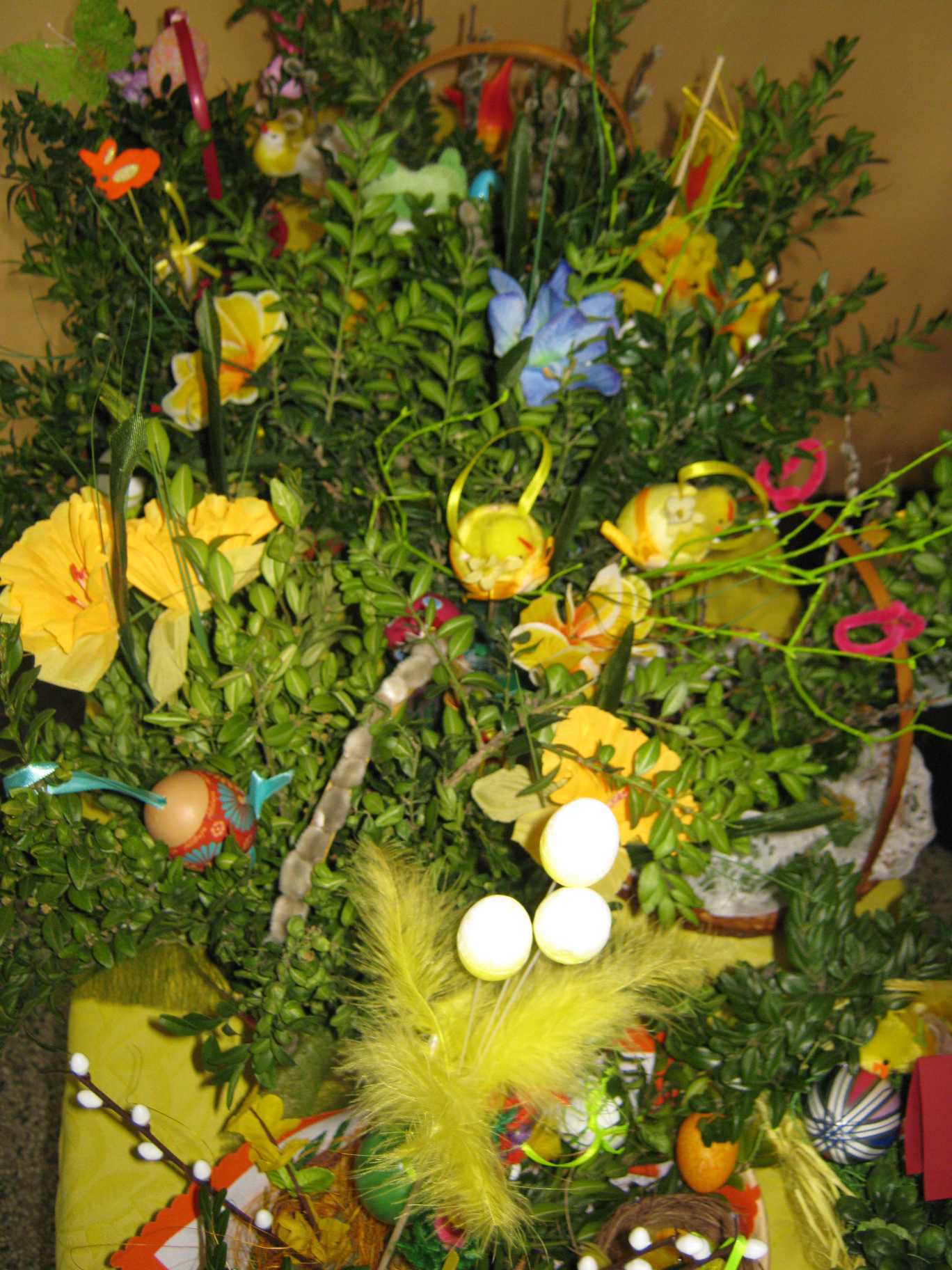IMG_2546.jpg