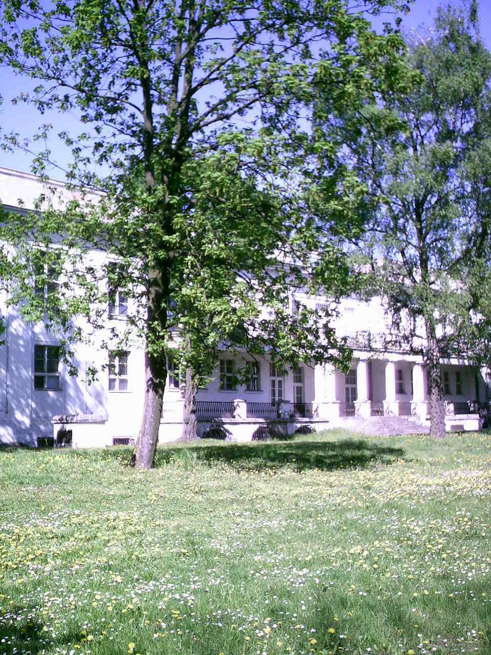 Solanki008.jpg