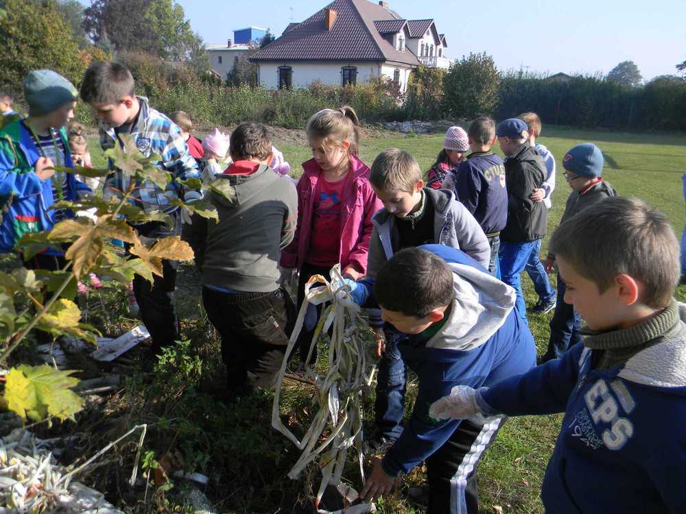 sprzątanie