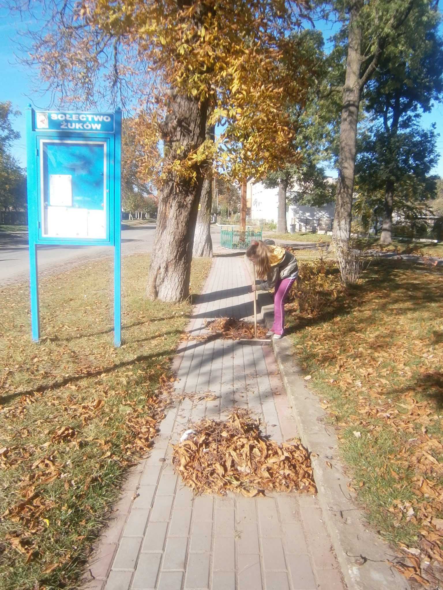 PA180794.JPG