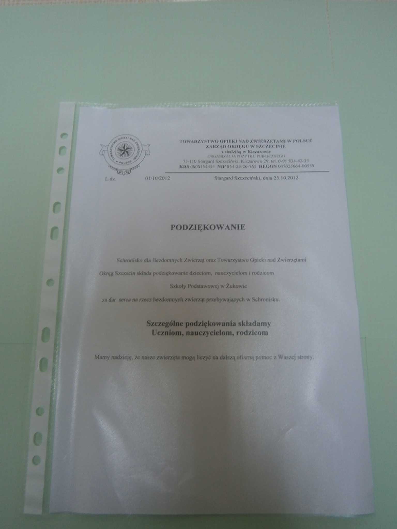PA261073.JPG