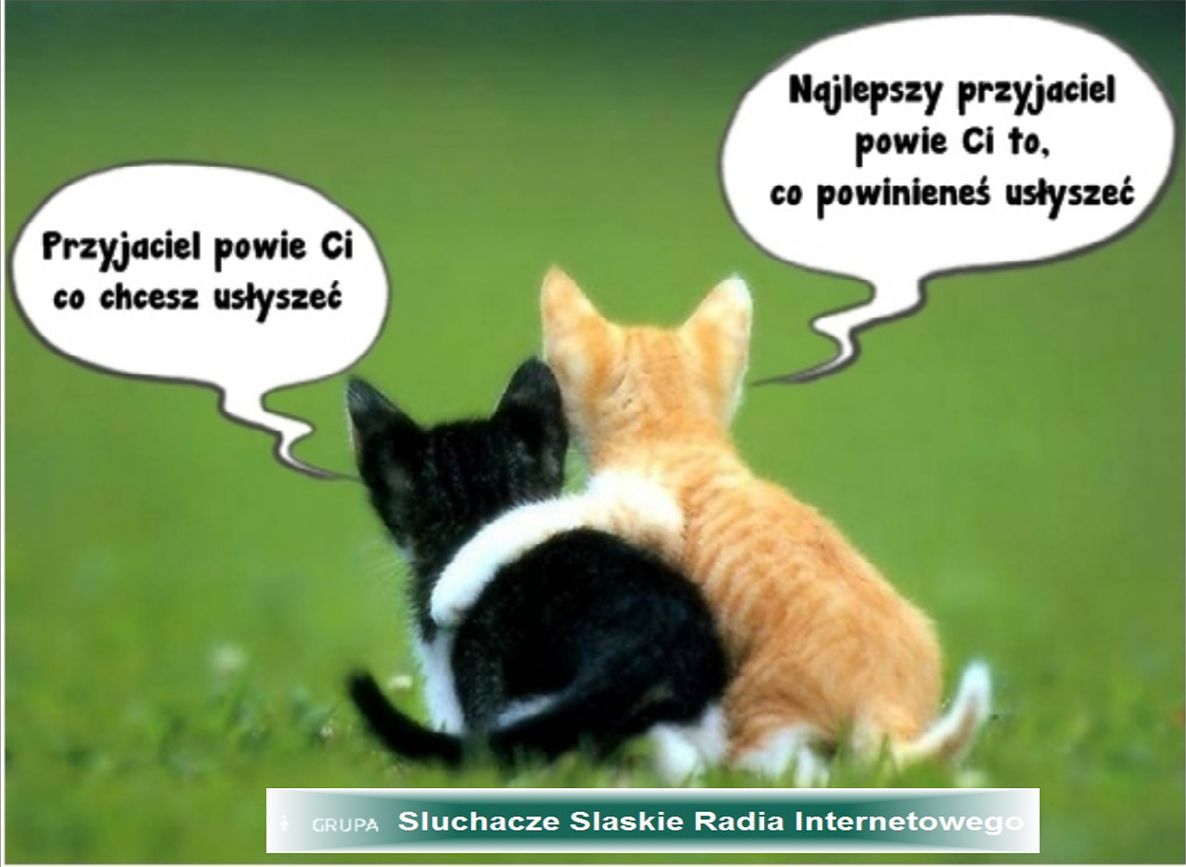 Dzień Przyjaźni 2020 : Dzien Przyjaciela Szkola Podstawowa Nr 10 W Bielsku Bialej, Dużą niespodziankę przygotowała rada rodziców kupując uczniom słodycze, napoje oraz pyszną pizzę.