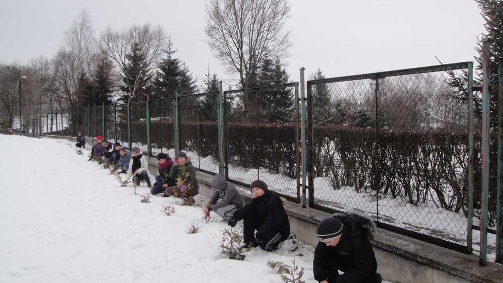 Zaśnieżone krzewy 8 kwietnia 2013r.