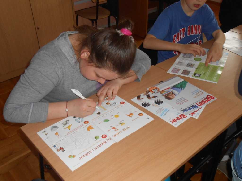 brawo6.jpg